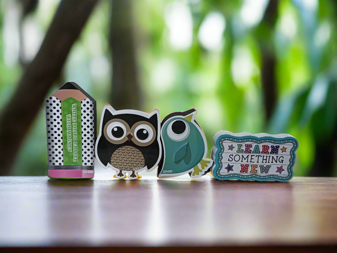 Magnetic White Board Duster